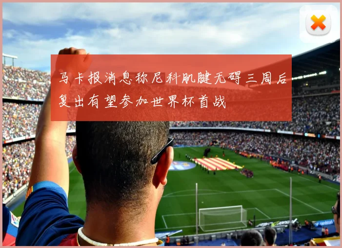 马卡报消息称尼科肌腱无碍三周后复出有望参加世界杯首战